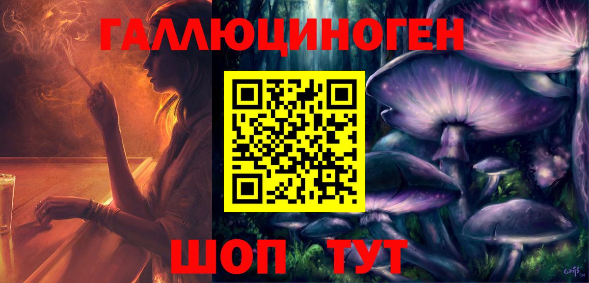Котлас  Галлюциногенные грибы мицелий  Вход с VPN 